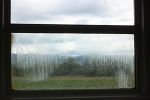 Temperature and Humidity